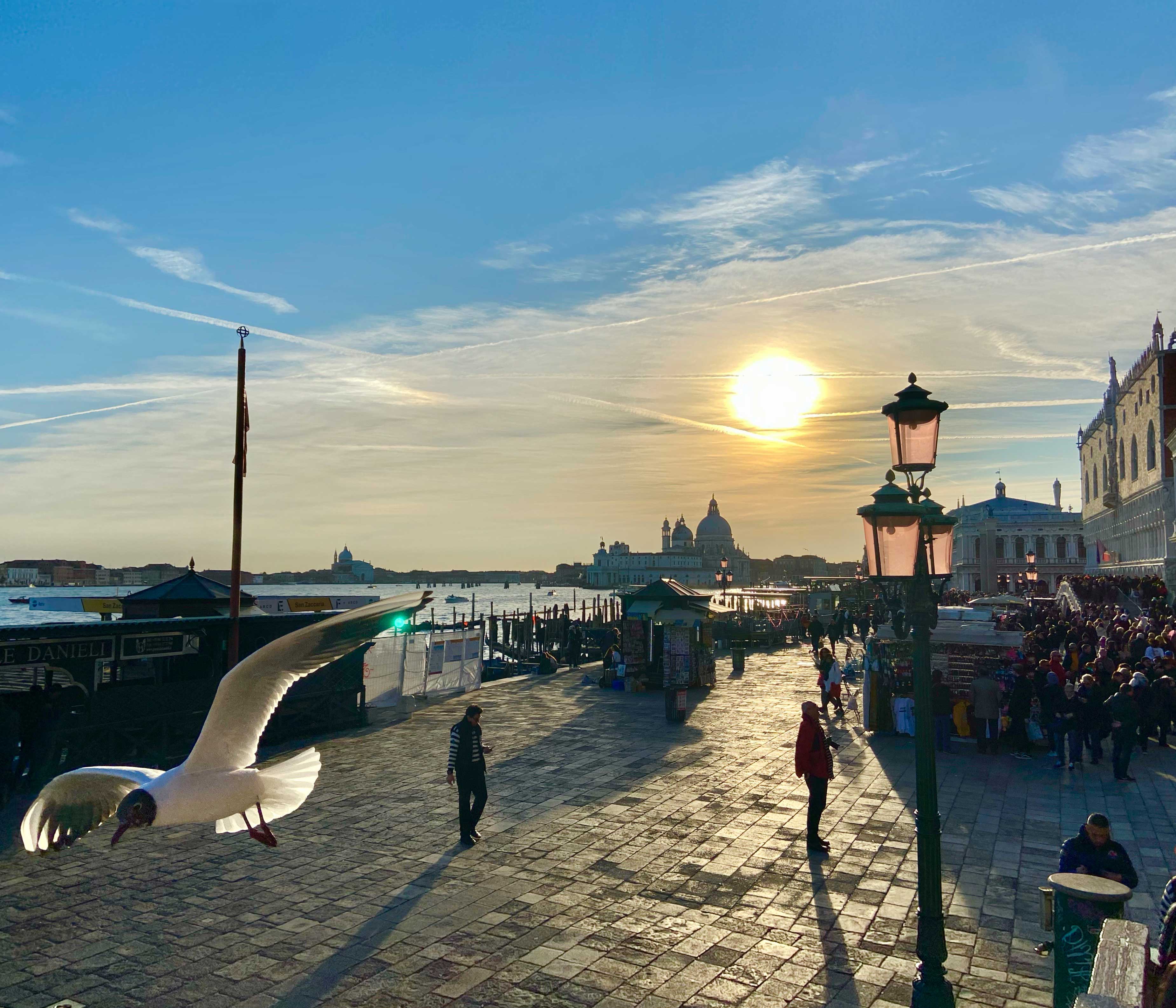 Venezia